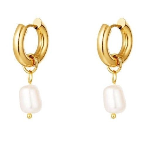 Golden Pearl Ohrring Gold 18K